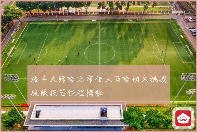 格斗大师哈比布传人马哈切夫挑战极限技艺征程揭秘