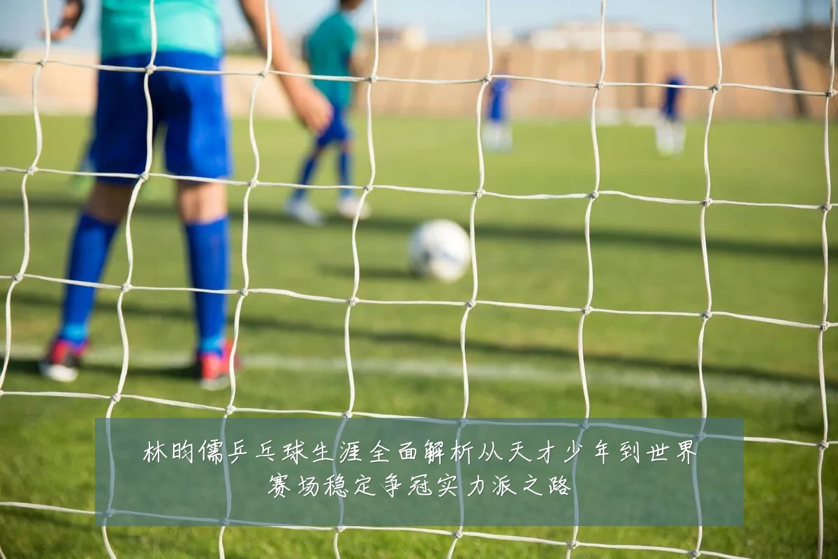 林昀儒乒乓球生涯全面解析从天才少年到世界赛场稳定争冠实力派之路